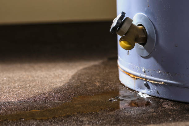 Best Mold removal after water damage  in Lookout Mountain, AL