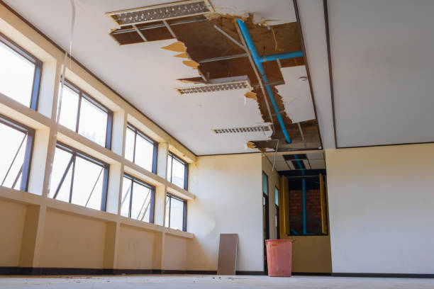  Lookout Mountain, AL Water damage restoration Pros
