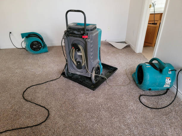Best 24-hour water damage restoration  in Lookout Mountain, AL