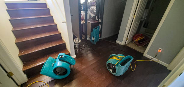 Best Commercial water damage restoration  in Lookout Mountain, AL
