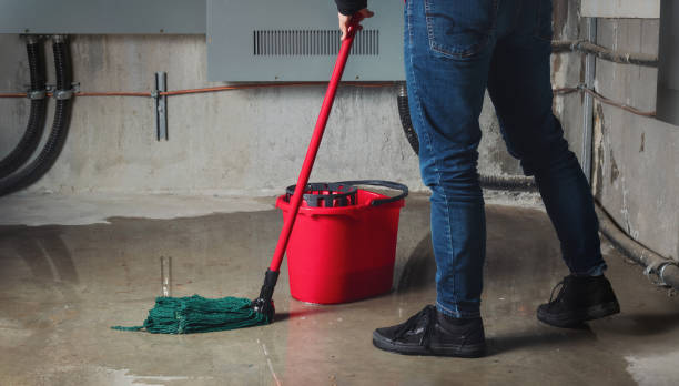 Best Professional water damage repair  in Lookout Mountain, AL