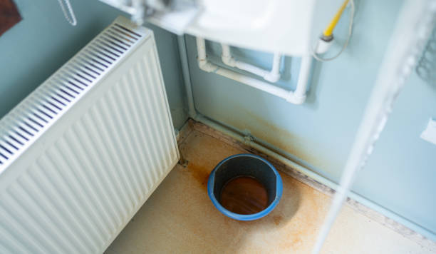 Best Carpet water damage restoration  in Lookout Mountain, AL