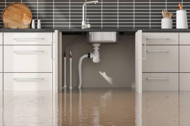 Best Emergency water damage restoration  in Lookout Mountain, AL