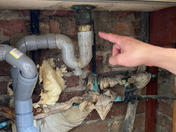 Best Basement water damage restoration  in Lookout Mountain, AL